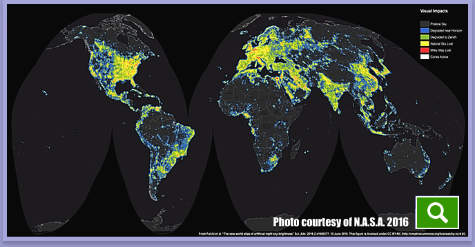 Foto satellitare della Terra di notte lifewatchgroup